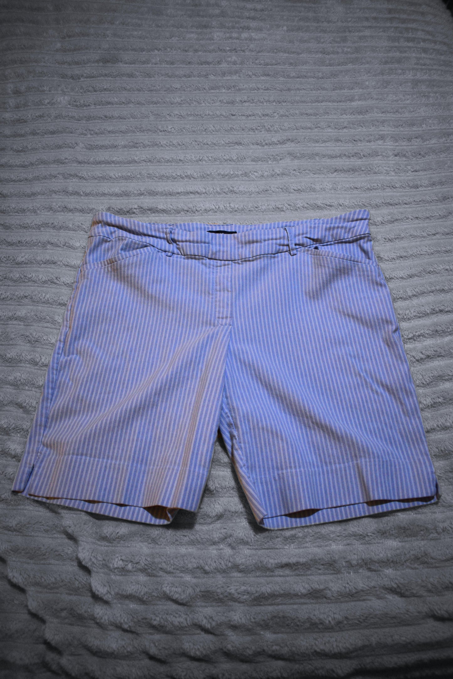 Hilary Radley Pinstripe Shorts XL